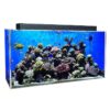 Buy Clear-For-Life 240 Gallon